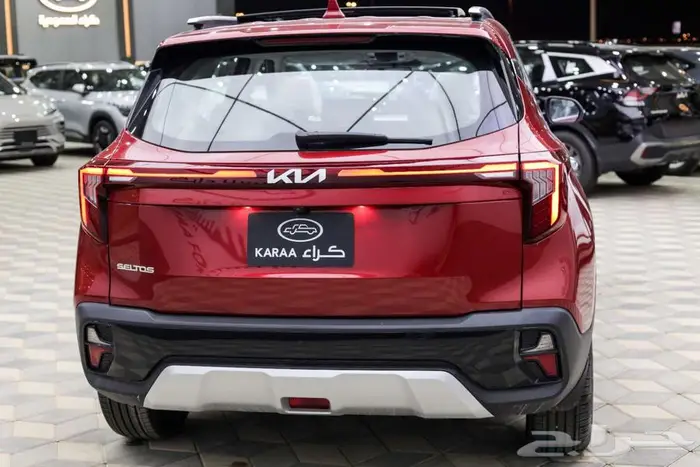 سيلتوس نص فل 2025 3