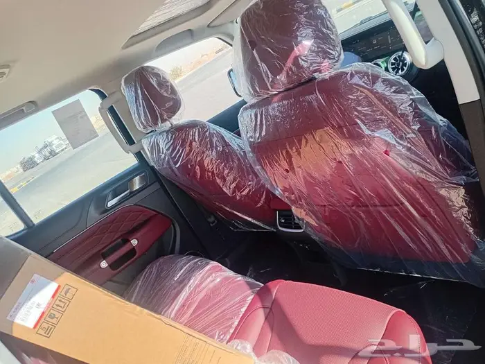 هافال تانك 300 فل كامل 2026 - عروض خاصة لمدة 24 ساعة 9