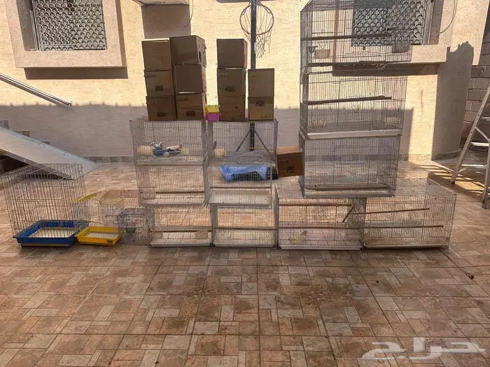 أقفاص طيور مستعملة للبيع 1