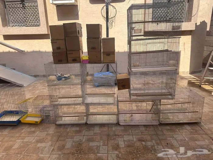 أقفاص طيور مستعملة للبيع 3
