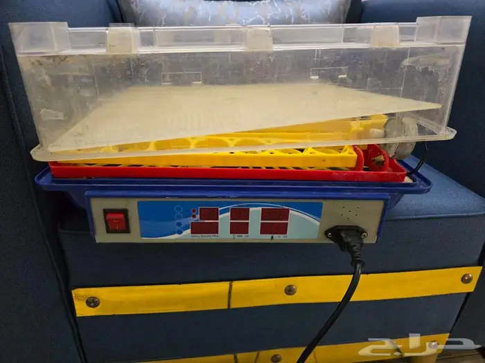 فقاصه 50 بيضه 1