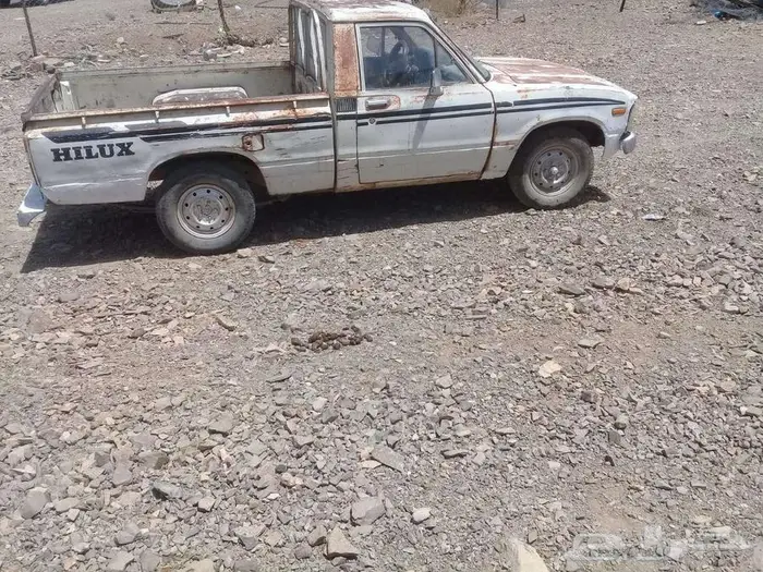 للبيع هلكس 81 3