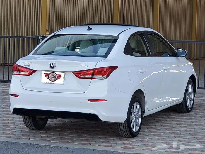 شانجان السفن 2022 4