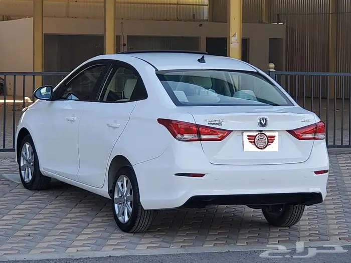 شانجان السفن 2022 5