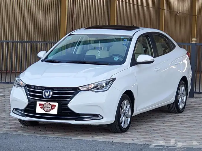 شانجان السفن 2022 6