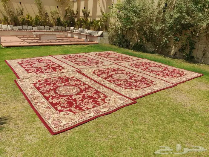 تاجير كراسي وطاولات وكنب فردي وثلاثي 0