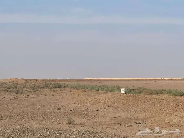 ارض زراعية بالسعيرة تقع على حرم طريق حائل - القصيم 6