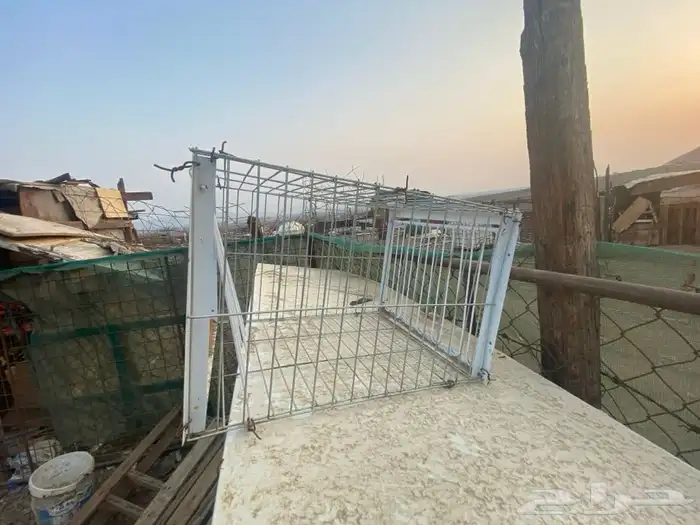 مصيده طيور 0