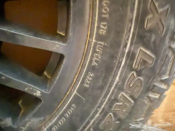 جنوط برايد 1