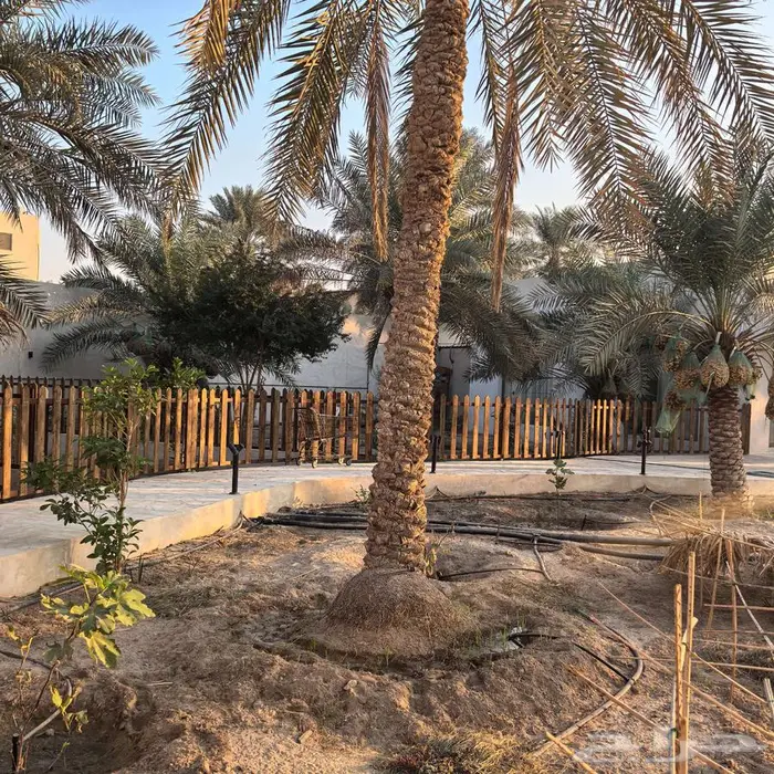 سور زراعي 22