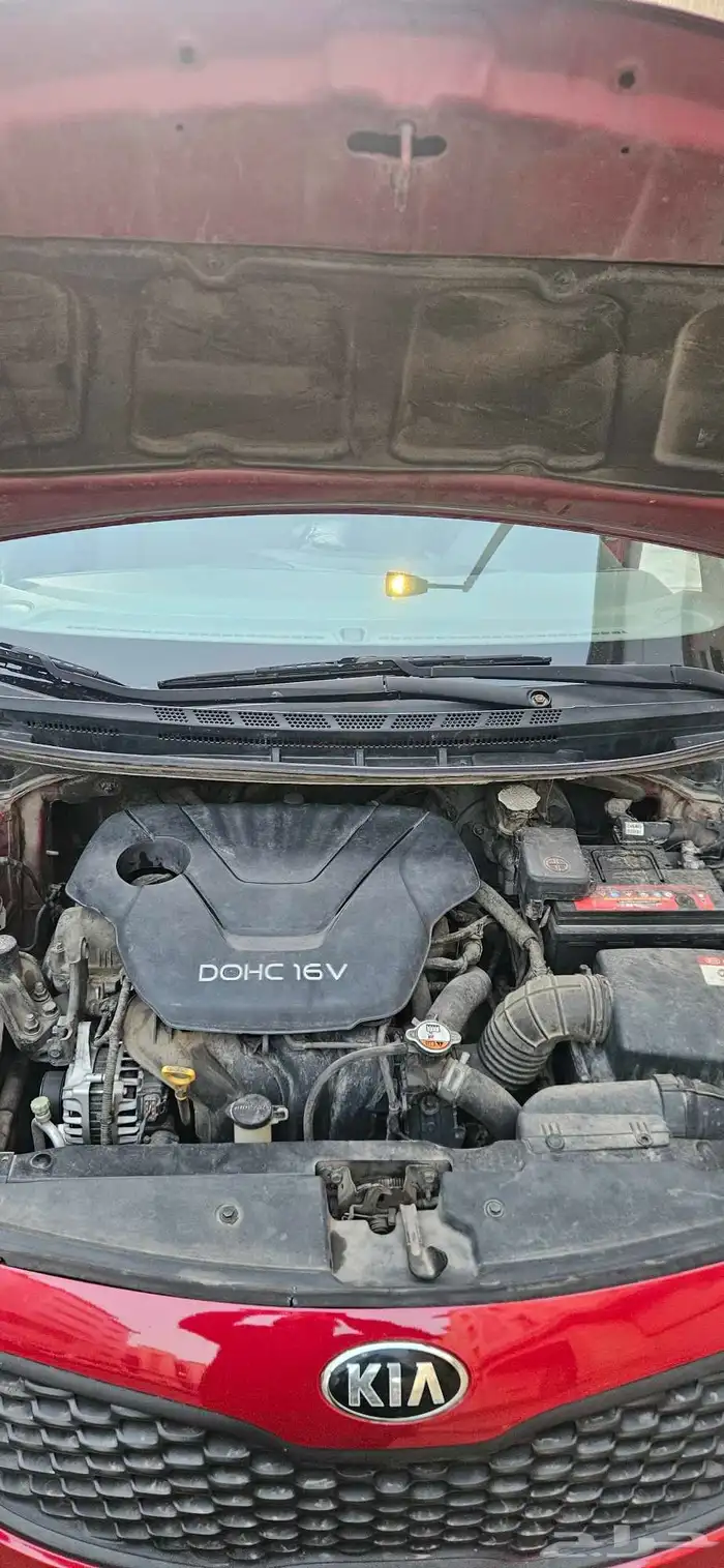 كيا سيراتو 2015 6