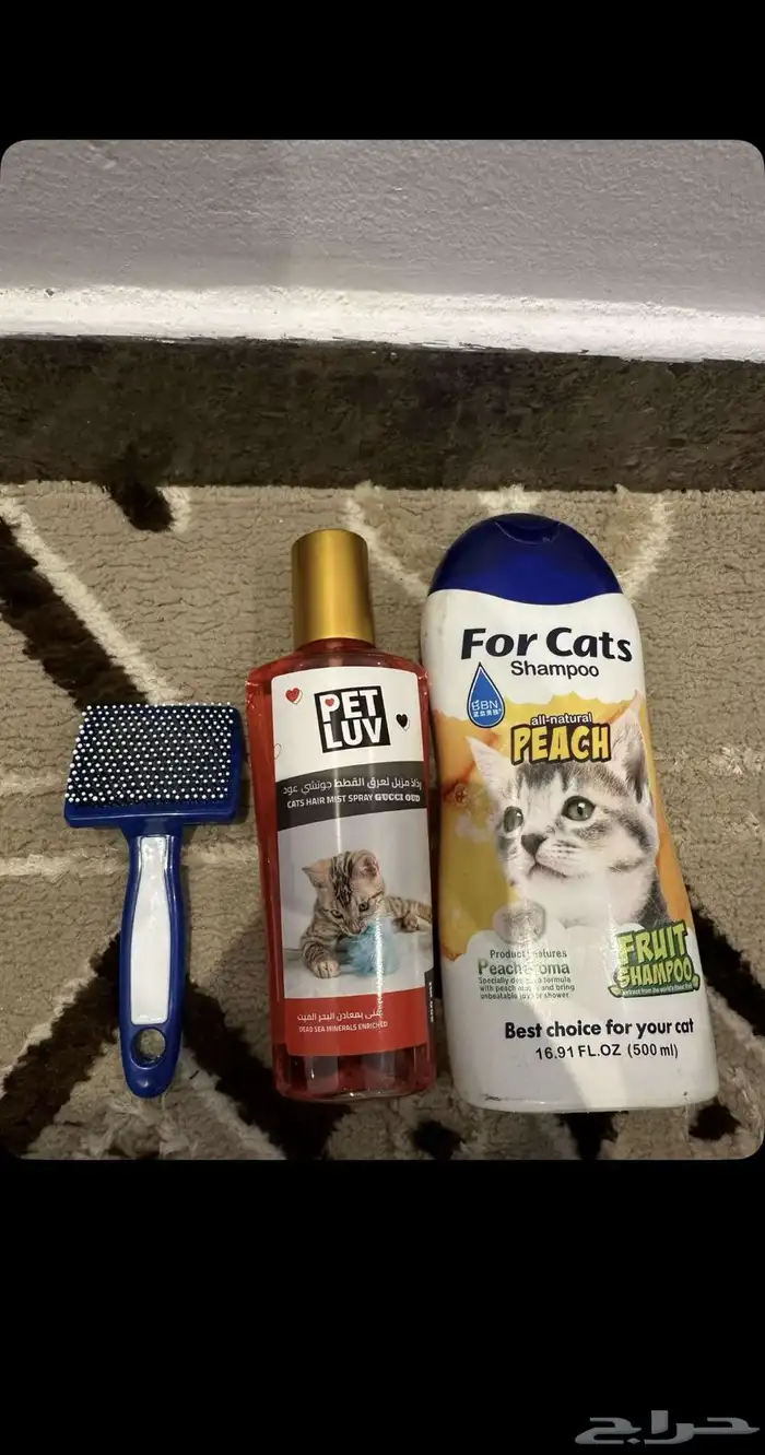 قط هملايا للبيع 4