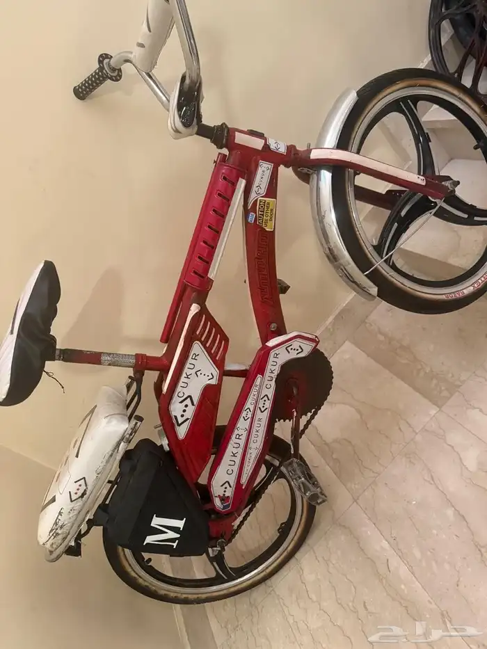 سيكل رامبو عنابي 0