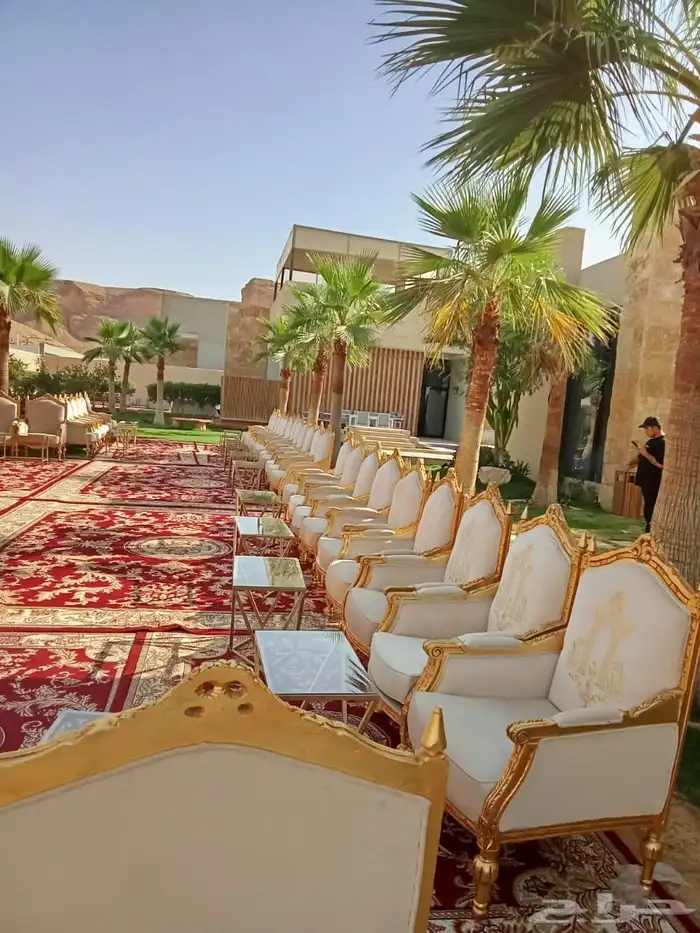 ليالي وحفلات قهوجين صبابين زال كرسي 4