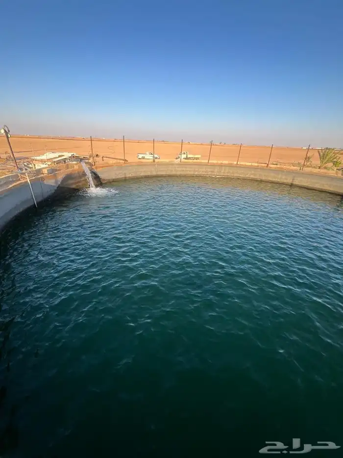 للبيع مزرعة في القرنه 0