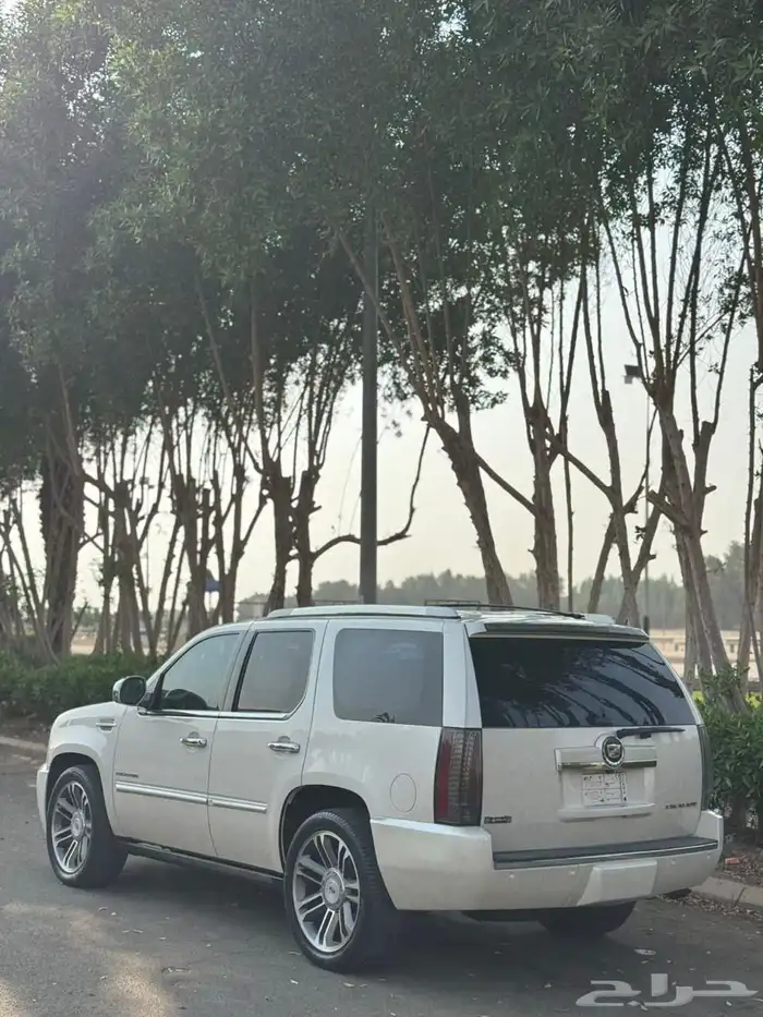 اسكاليد 2013 سبورت 2