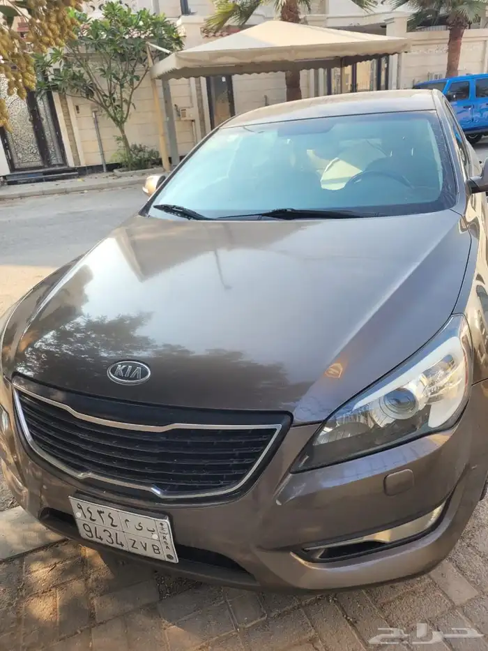 كادينزا نص فل 1