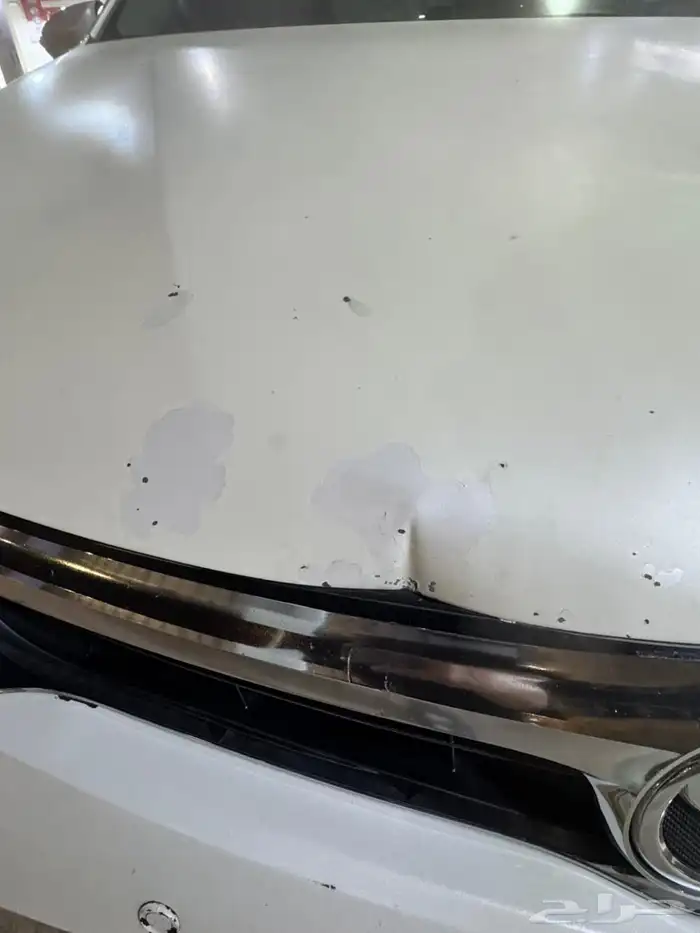 تويوتا افالون 2015 XLI 8