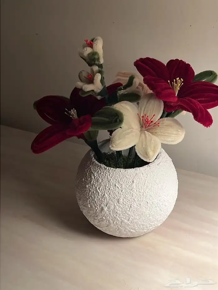 اعرض لكم متخصصه في عمل الورد الابدي للمنازل والمكاتب والكفي 0