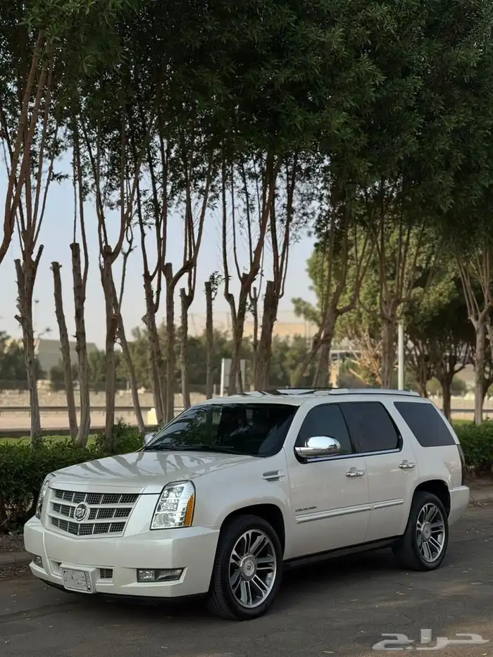 اسكاليد 2013 سبورت 0