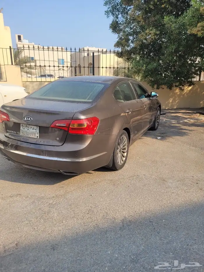 كادينزا نص فل 0