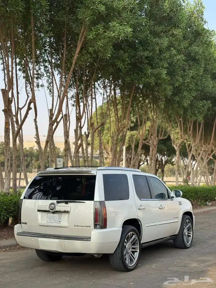 اسكاليد 2013 سبورت 3