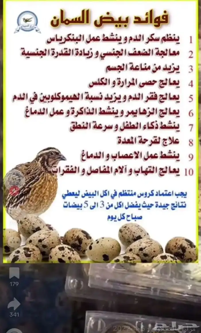 بيض سمان للاكل 2