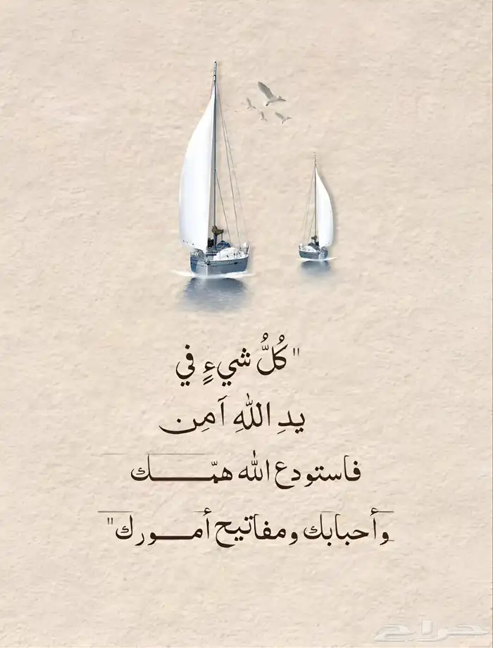 أبحث عن عمل 1