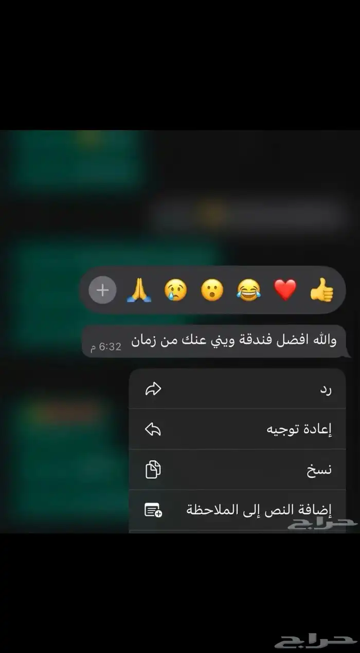فندقة قطط ومعالجة 4