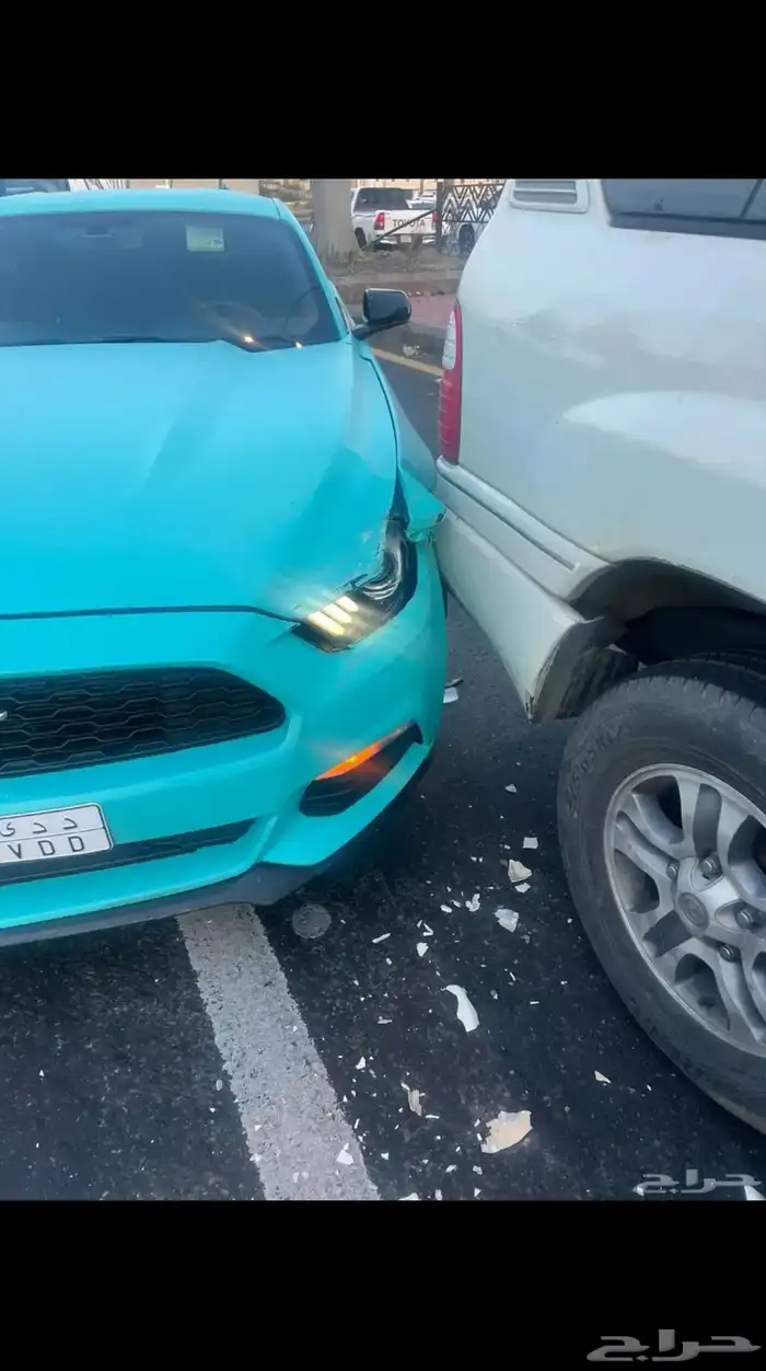 موستنج 2015 للبيع 13