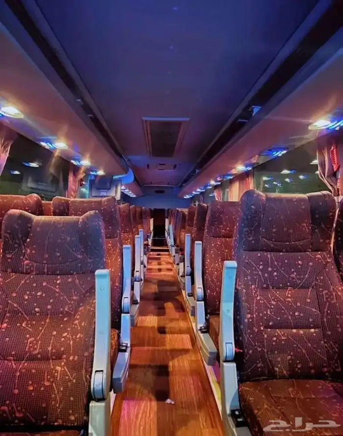 حافلة كينج لونج 50 راكب 3