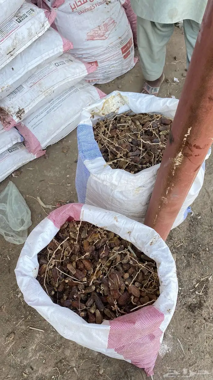 تمر للحلال 18ريال الكيس 1