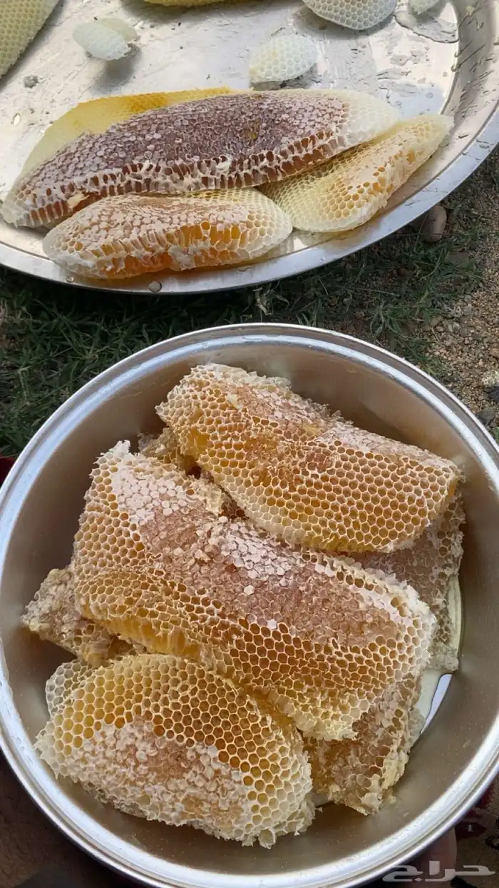 عسل أصلي ومضمون يتوفر لدينا شمع سدر 0