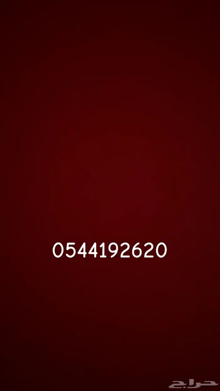 مطلوب شقة للإيجار 3