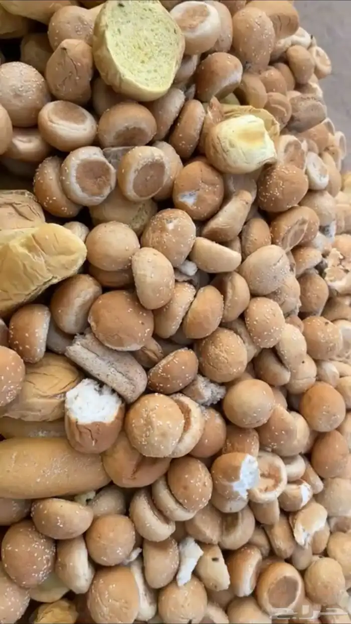 خبز برقر وكيك 0