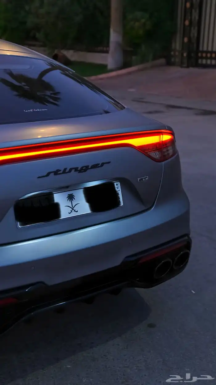 Stinger 2023 Tribute edition 10