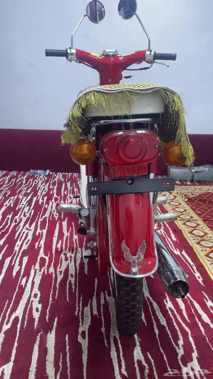 دباب هوندا 70 موديل 2025 5