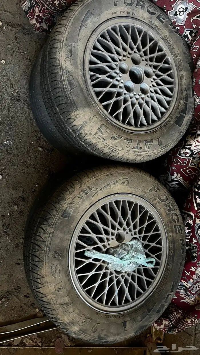 جنوط كرسيدا ( خليه ) 0