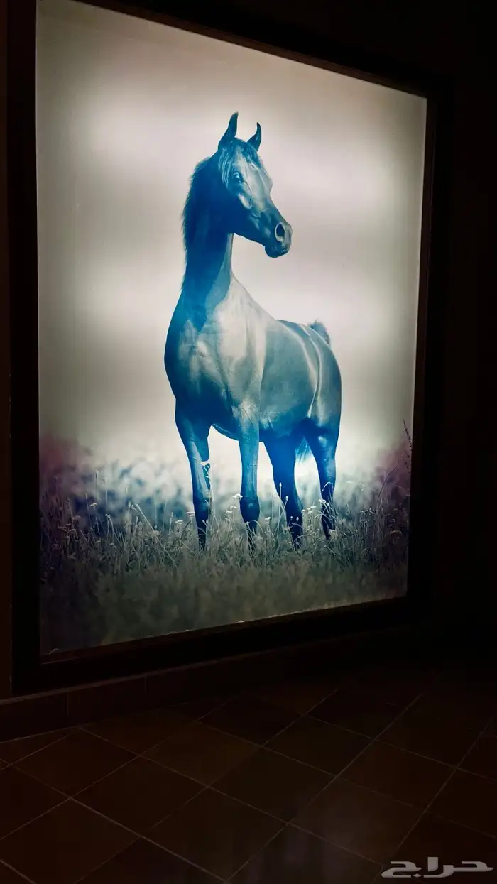 مصورة جوال (سعر خاص للاسر المنتجة) 13