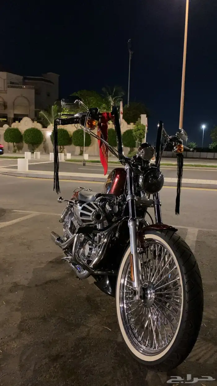 دراجه ناريه من نوع هارلي سبوستر كاستم موديل 2012 6