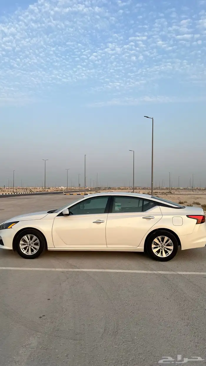 التيما 2022 مالك اول بلد 3