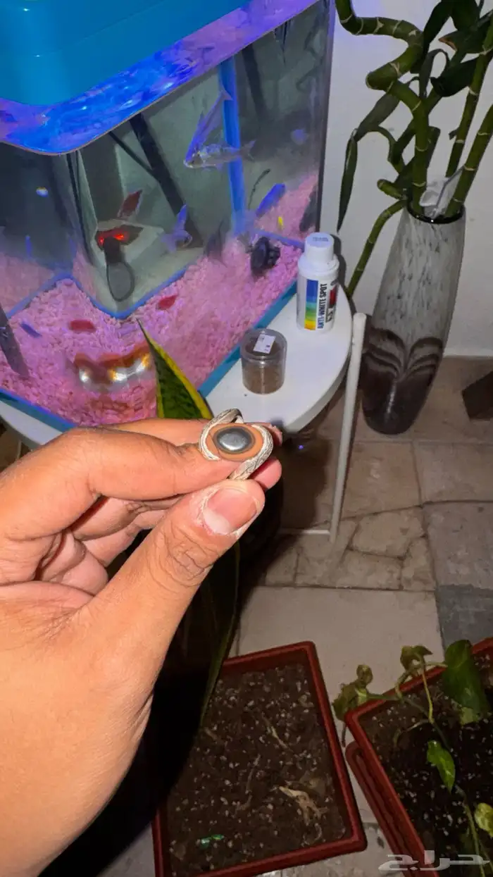 خاتم فضة عقيق يماني اصلي   صياغة عبد العزيز سلامه 3