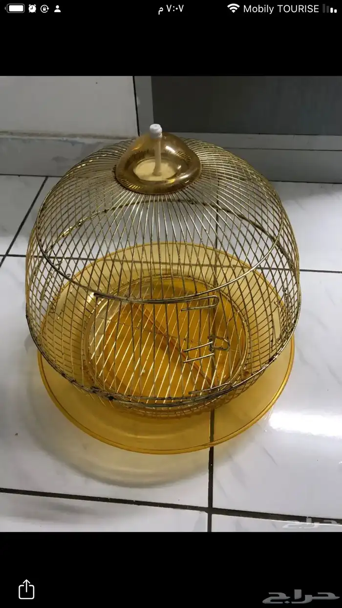قفص عصافير  أربعة حبة 3