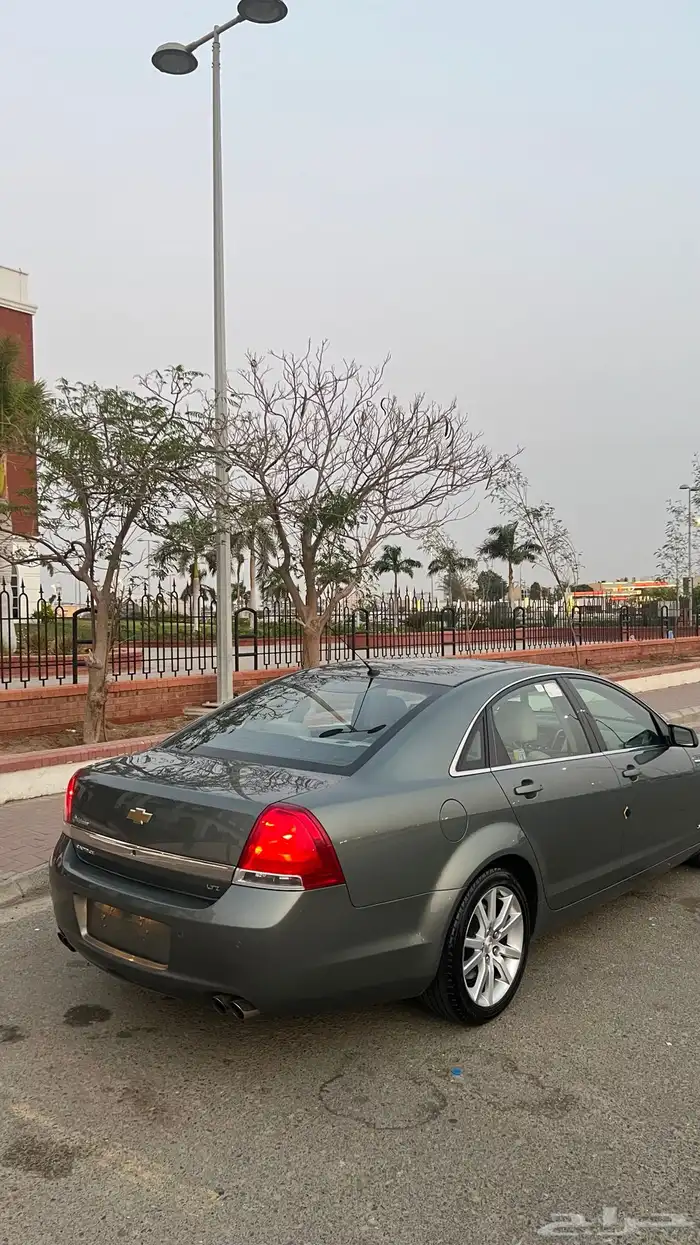 كابرس 2015 شد بلد وممشى قليل 25