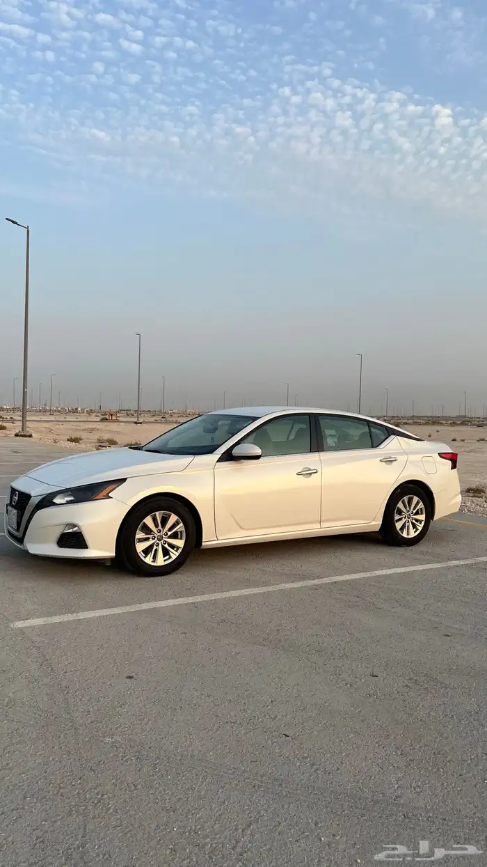 التيما 2022 مالك اول بلد 0