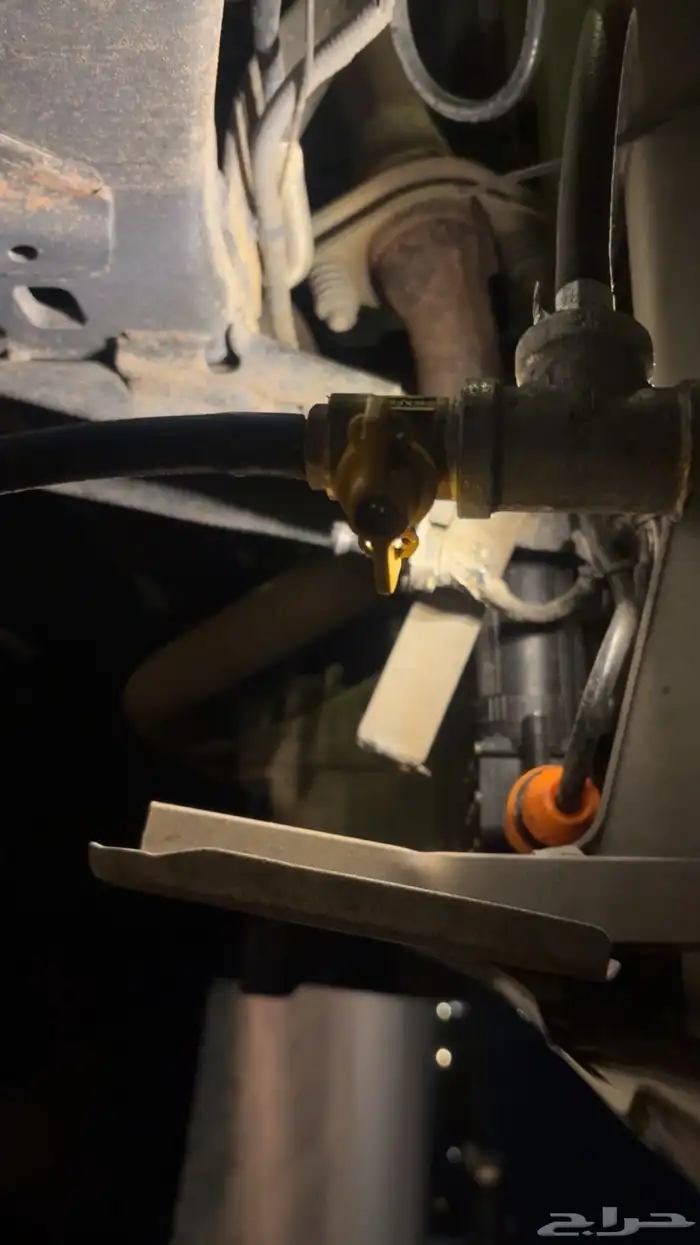 شاص رفرف 2020 9