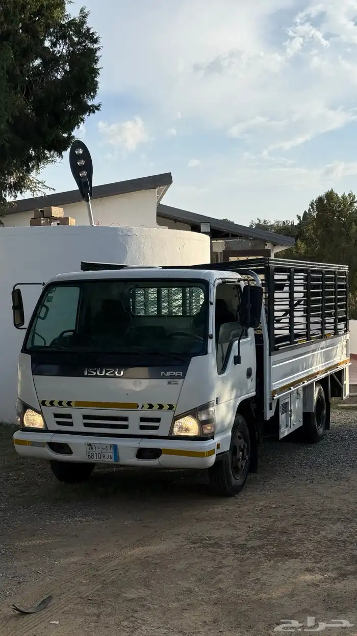 دينه ايسوزو 2008 1