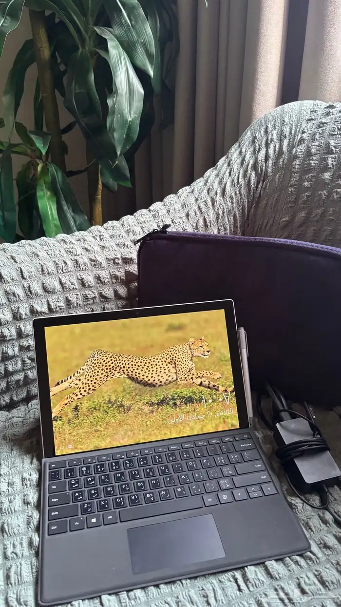 سيرفس برو7 0