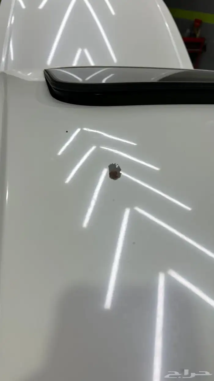 اكورد سبيشل 2010 28