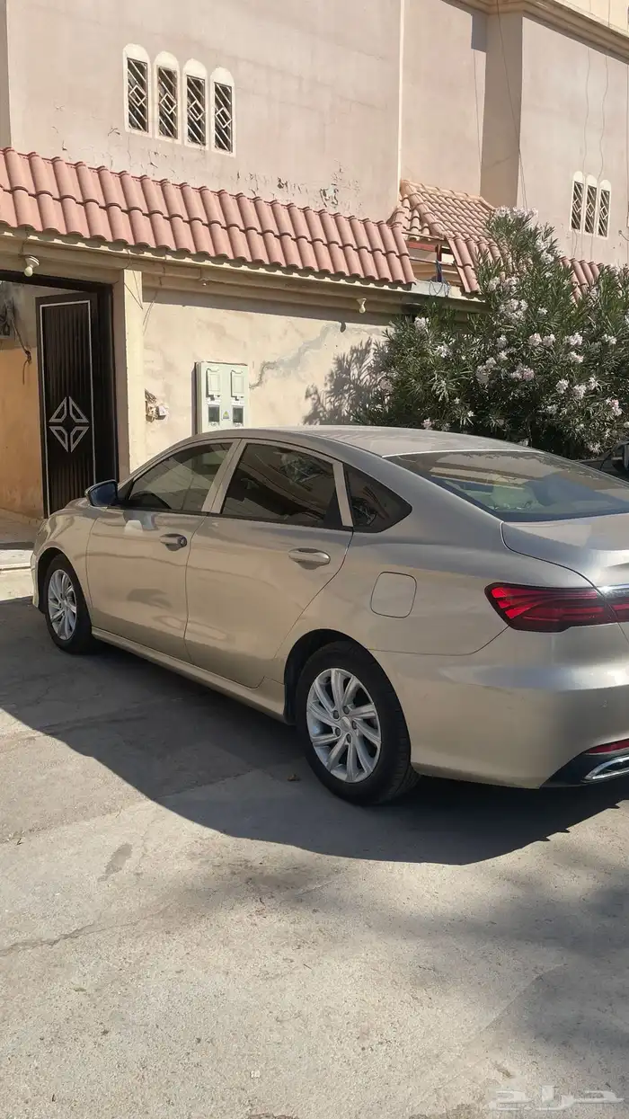 جيلي بنراي 2020 1